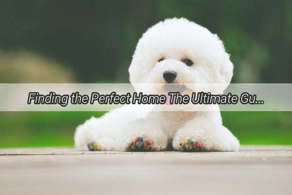 Finding the Perfect Home The Ultimate Guide to Where Your Dog Should Roam